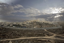 Israel định xây gần 800 nhà định cư tại Bờ Tây 